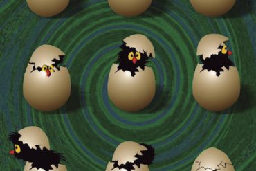 PRINCIPIOS PARA MEDITAR – El principio de Acción y Reacción