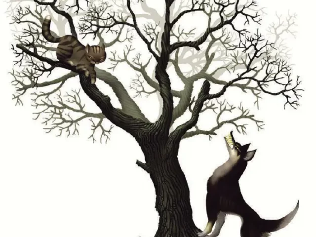 Principio de la Acción Oportuna