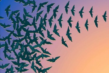 PRINCIPIOS PARA MEDITAR – El principio de negación de los opuestos