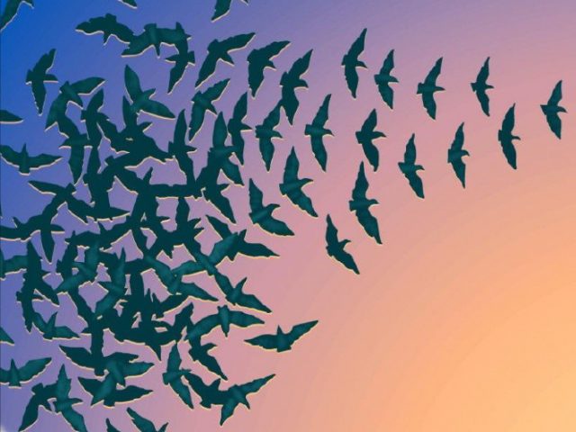 Principio de acumulación de las acciones